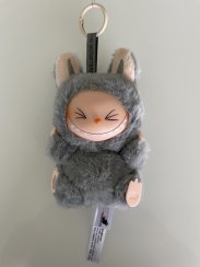Labubu the monsters