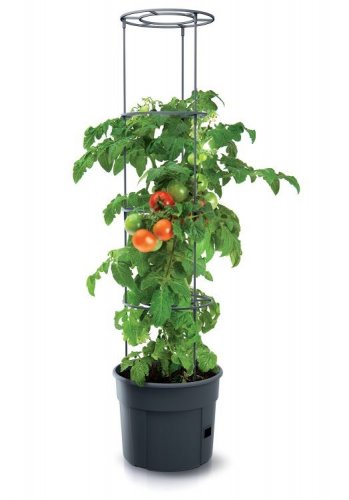 Kvetináč na pestovanie paradajok TOMATO Grower antracit 39,2cm (max. Výška: 153cm)