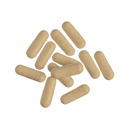 Tribulus Terrestris 60 kapslí Nutrend