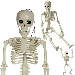 Závěsná lidská kostra 40cm halloween dekorace