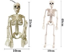 Závěsná lidská kostra 40cm halloween dekorace