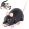 Elektrická myš, hračka pro kočky 