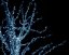 Osvetlenie vianočného stromu 500 LED studená biela