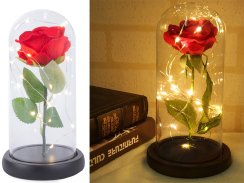 Večná ruža v sklenenej kopule LED