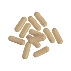 Tribulus Terrestris Turbo 120 kapslí Nutrend