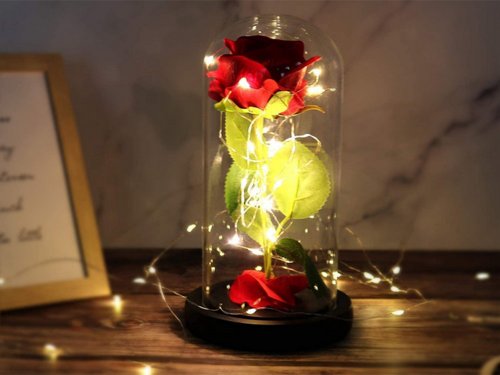 Věčná růže ve skleněné kopuli LED